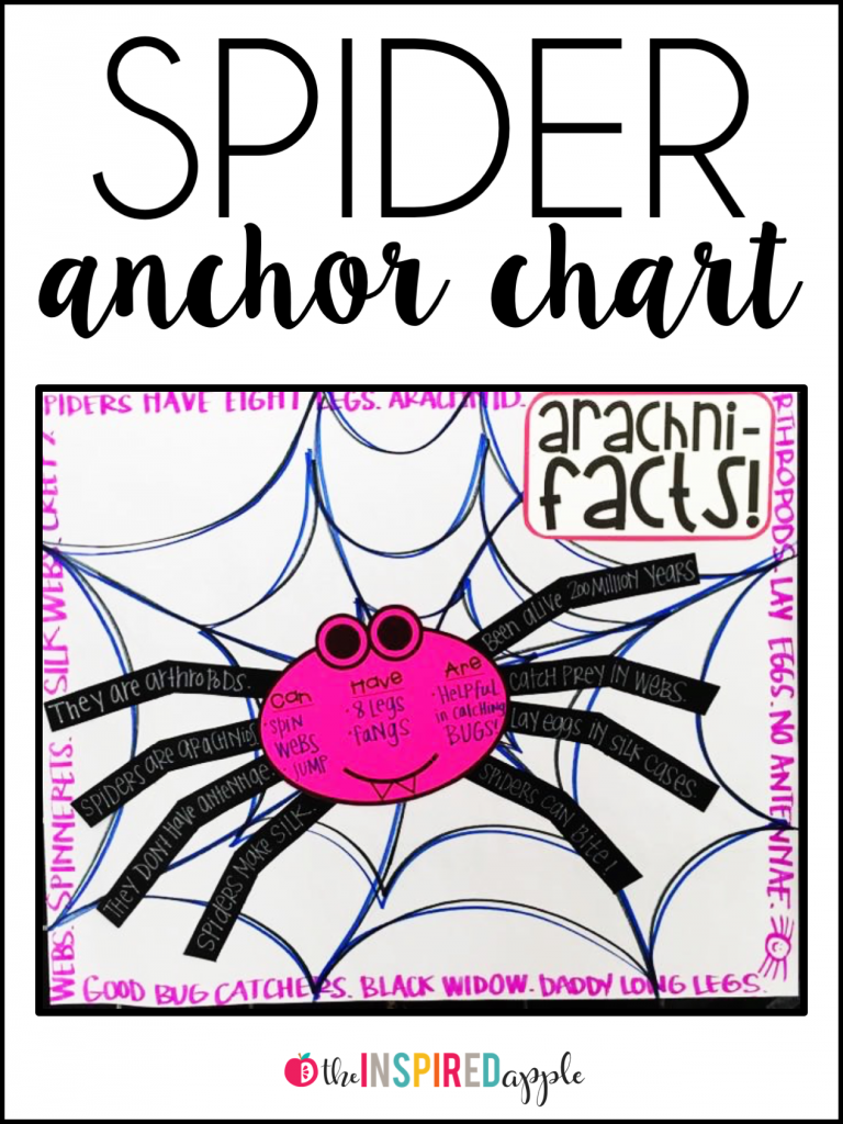 Education to the Core - Here's a fun 🕷️ spider web themed anchor chart for  your sub this week!!! Want done-for-you sub plans from Premium? Grab these  on our Unlimited Printables website!!