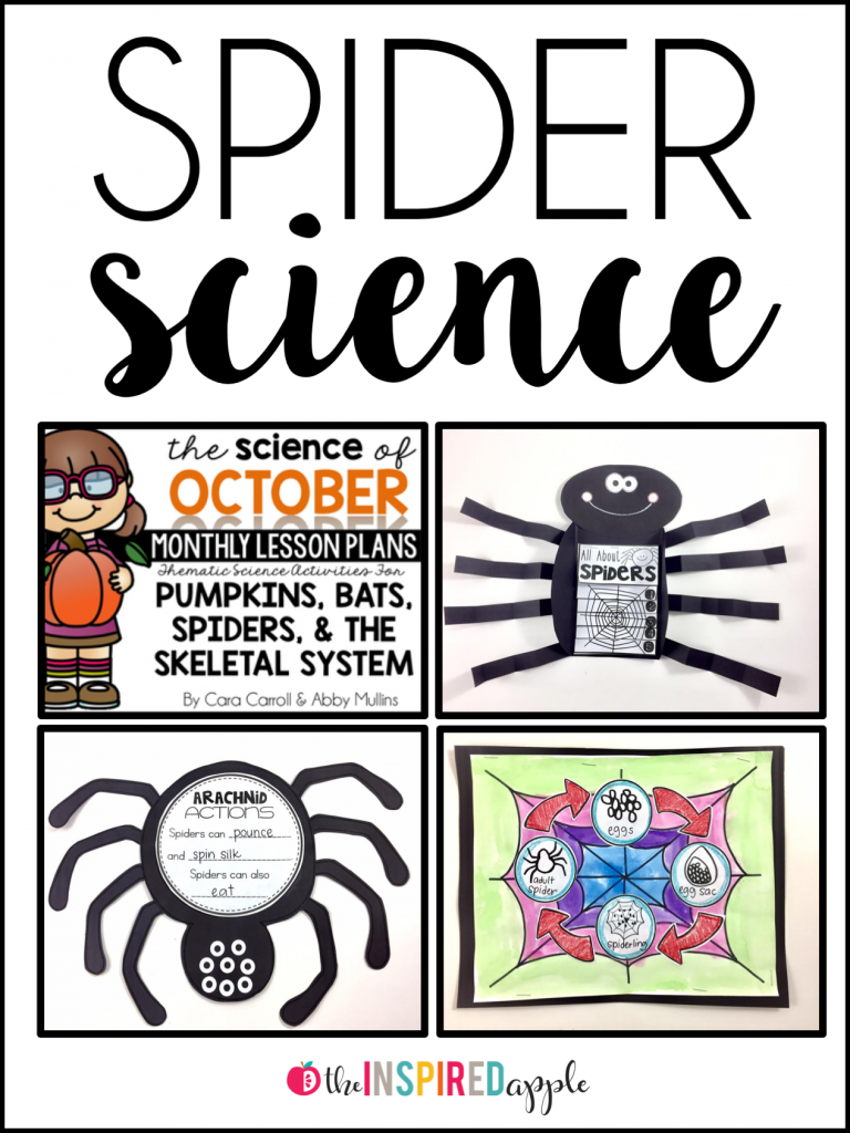 Students in kindergarten, first grade, and second grade will absolutely eat up a thematic study of spiders! Check out this fantastic post for cross-curricular activities for teaching about spiders to elementary students - the perfect way to tie in reading, math, science, and art!