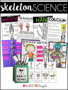 Teaching the Skeletal System - Babbling Abby