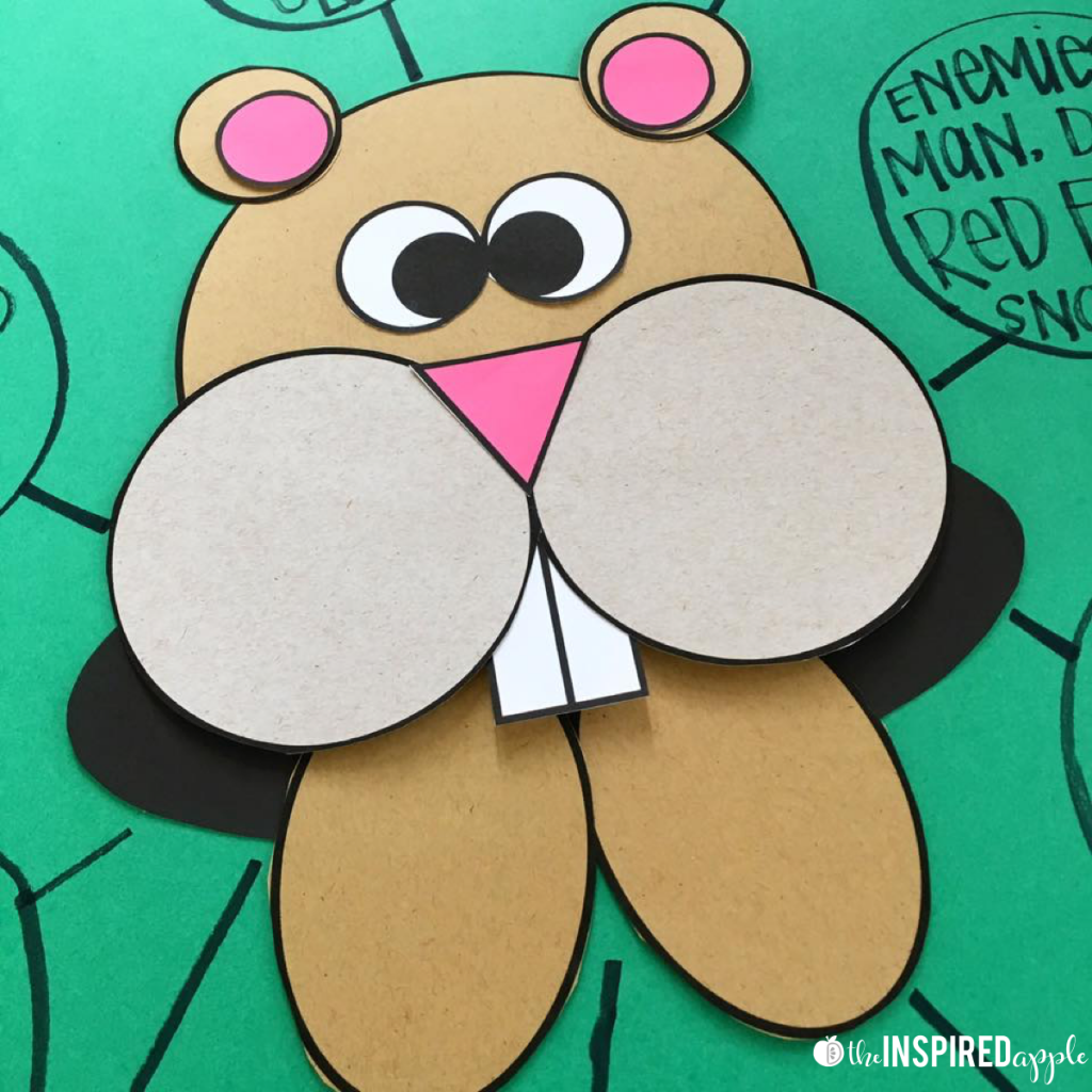 This fun little Groundhog Day activity makes the perfect addition to your anchor chart or class posters about Punxsutawney Phil and his springtime predictions! Or, use the templates to let your kindergarten, first grade, or second grade students make a fun little groundhog craft peep-over to adorn their school work, your hallway, or classroom walls!