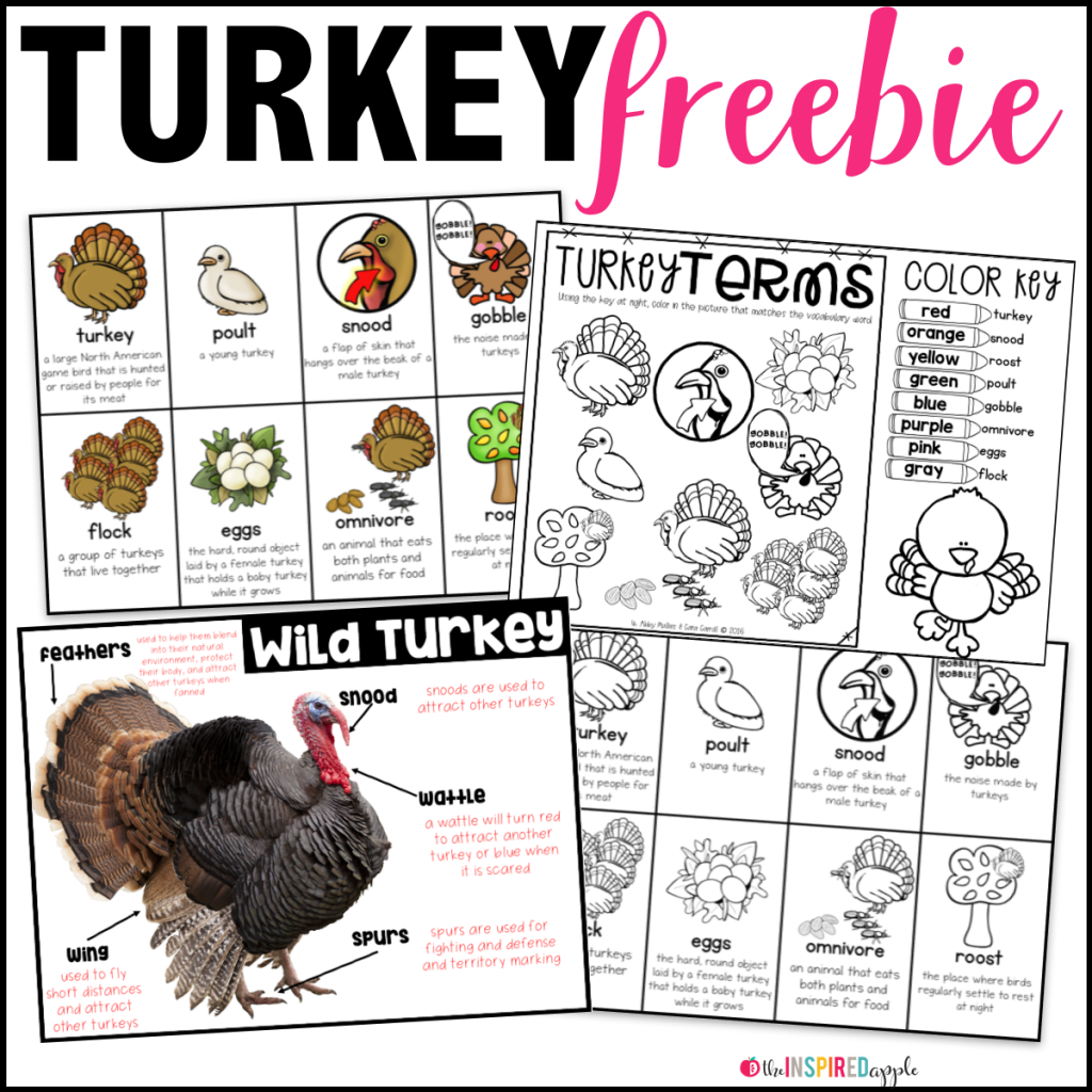 Check out this amazing post just full of turkey-themed activities that would work great in kindergarten, first grade, and second grade classrooms. They're the perfect way to incorporate science, math, and literacy into your Thanksgiving curriculum, while keeping your students engaged.