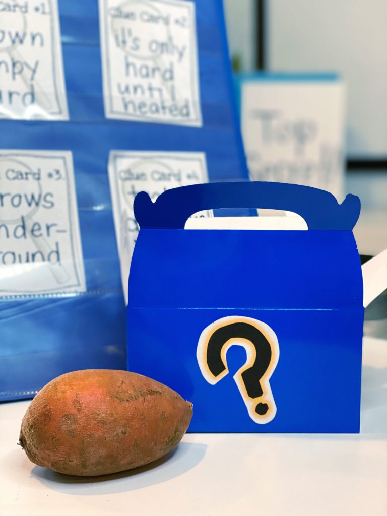 Reveal what's inside your Mystery Box after listening to your student's guesses!